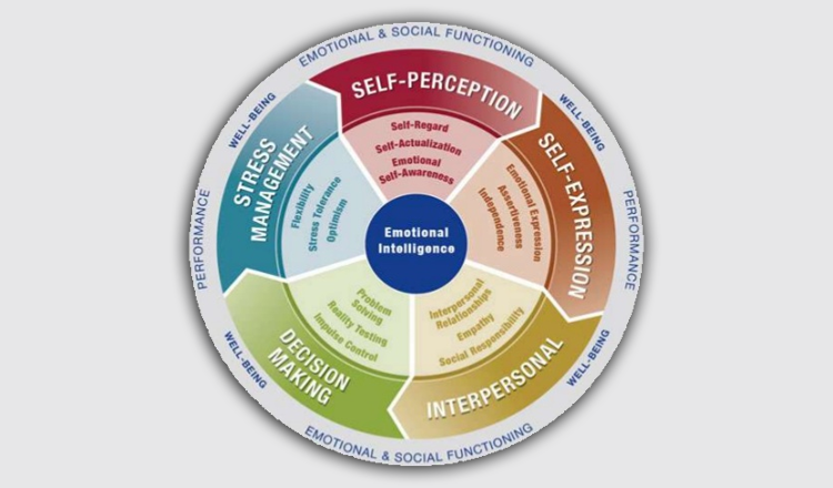 Emotional intelligence EQ test including self-expression, self-perception, decision making, interpersonal, stress management.